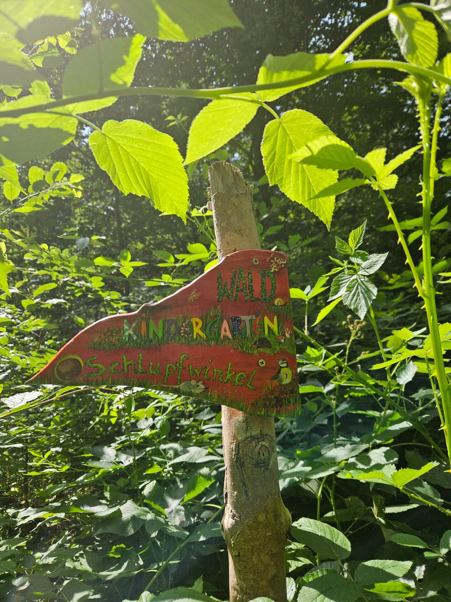 Schild des Waldkindergartens Schlupfwinkel im Wald