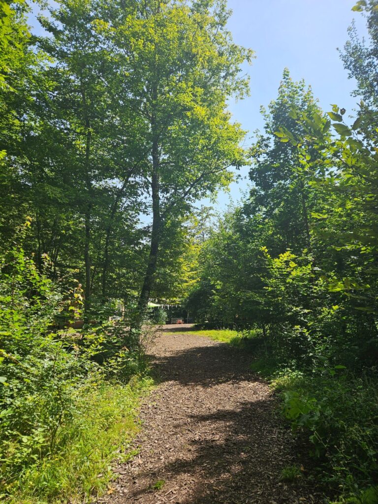 Der Fußweg zum Waldplatz